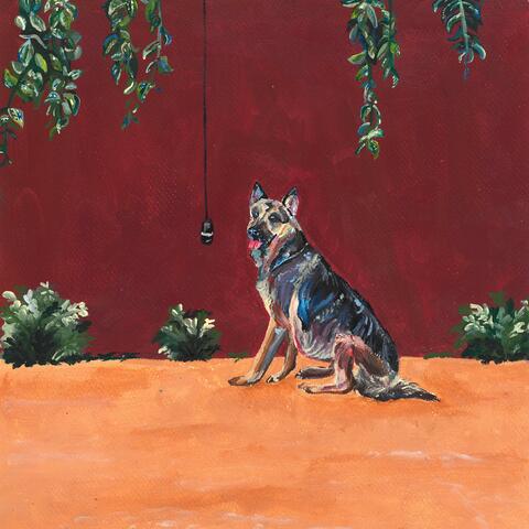 VITE DA CANI (2/2)