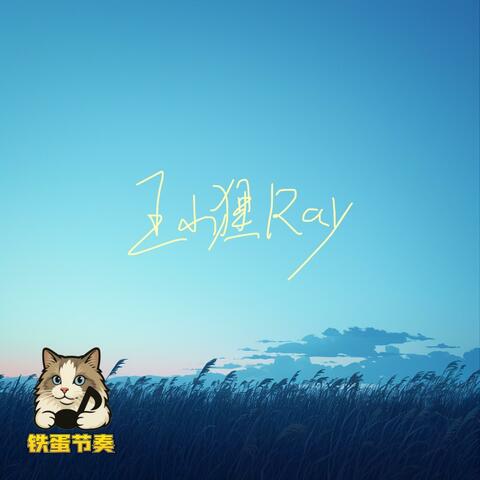 夏夜晚风