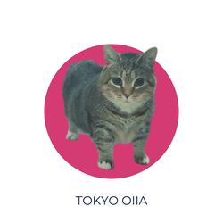 Tokyo Oiia
