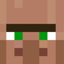 As a Minecraft Villager