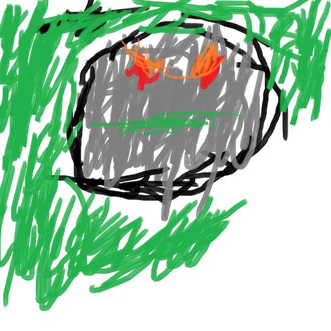 Chicken Coop