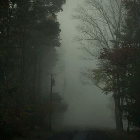 Lost in the Fog