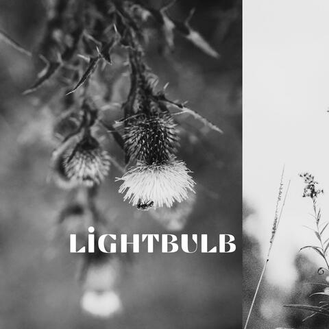 Lightbulb