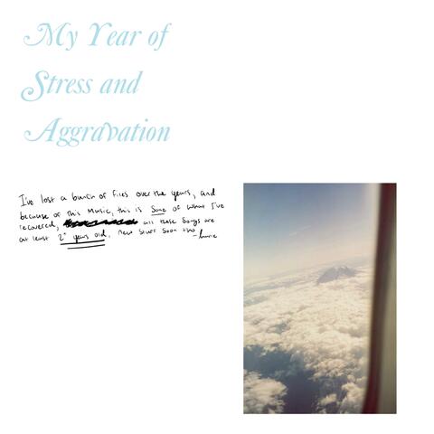 My Year of Stress and Aggravation