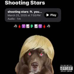 Shooting Stars (feat. YoungRoeeDawgg)