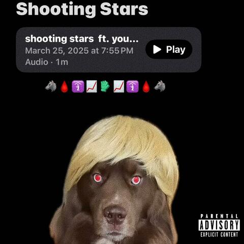 Shooting Stars (feat. YoungRoeeDawgg)