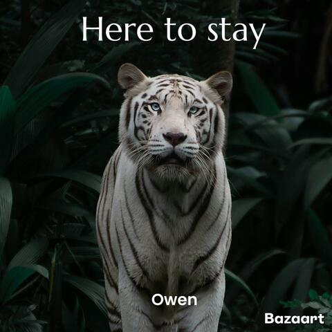 Here to stay