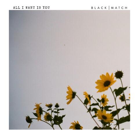 All I Want Is You