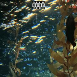 comedown outro
