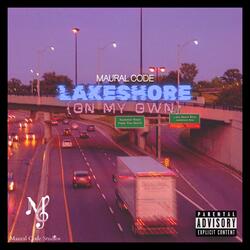 Lakeshore (On my own)