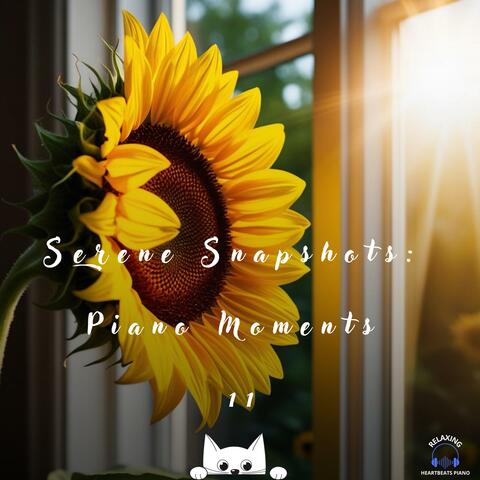 Serene Snapshots: Piano Moments 11