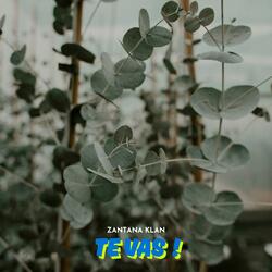 TE VAS