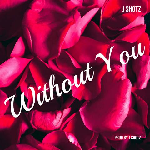 Without You (Special Edition )