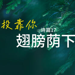 胜利之歌 诗篇20