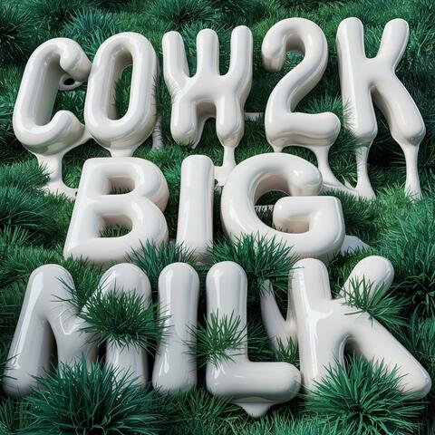 COW2K