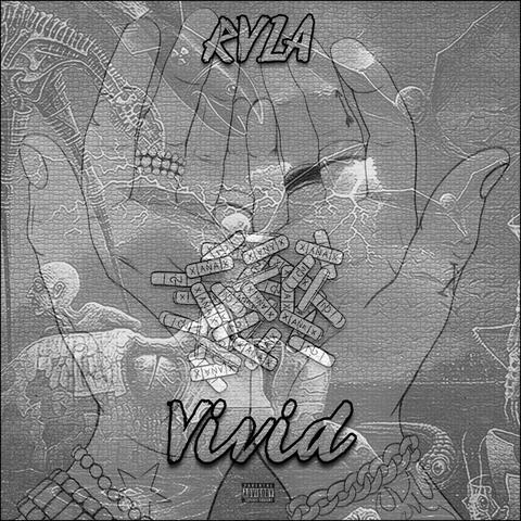 Vivid