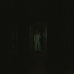 Spirits In The Night