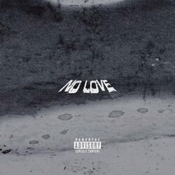 NO LOVE