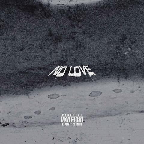 NO LOVE