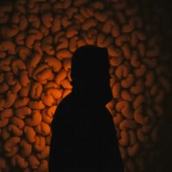 Tu Maldición – Dario Falcones (Desde el Alma)