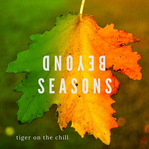 Beyond Seasons