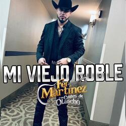 Mi viejo roble