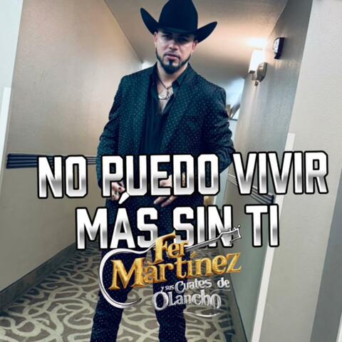 No puedo vivir mas sin ti