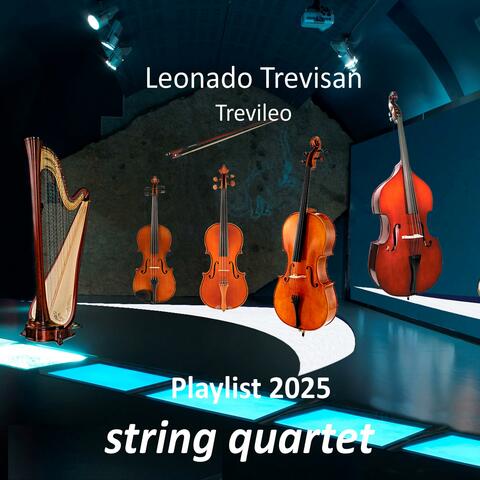 STRING QUARTET Playlist 2025