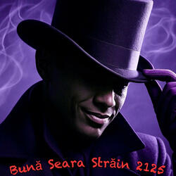 Bună Seara Străin 2125