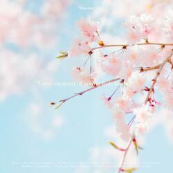 My Flowers