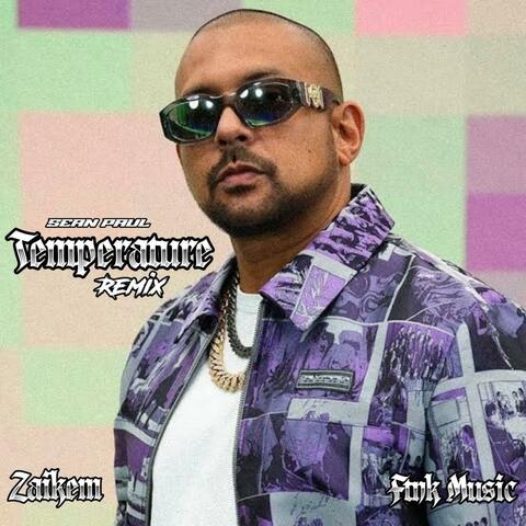 Temperature (Zaikem Remix)