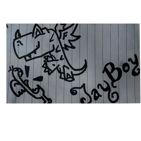 Jay Boy