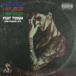 I Got Scars (feat. 2sum)