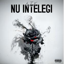 NU INTELEGI