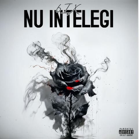 NU INTELEGI