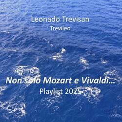 diciasettesima composizione (feat. Leonardo Trevisan)