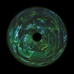 Tropical Acid