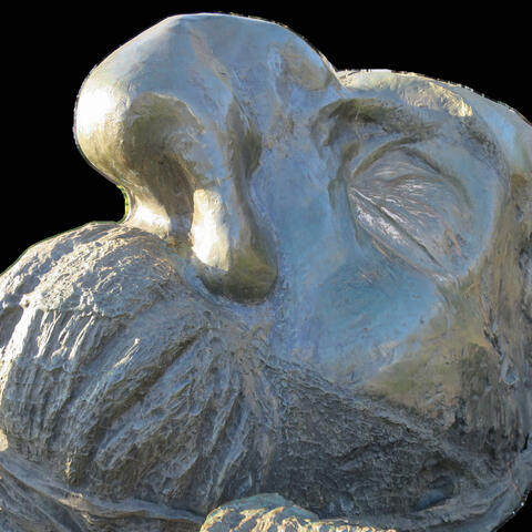 Das skabröse Requisit