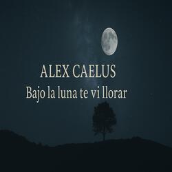 Bajo la luna te vi llorar