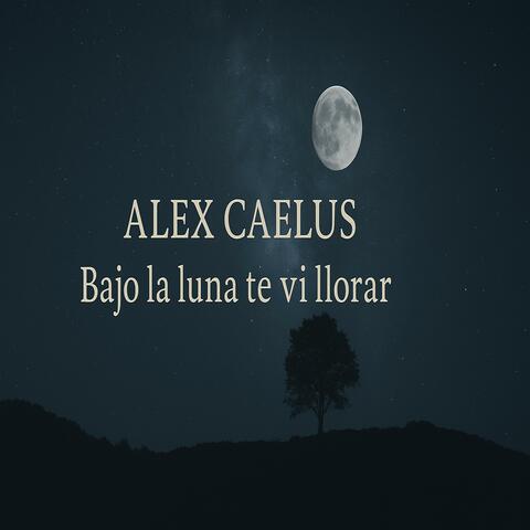 Bajo la luna te vi llorar