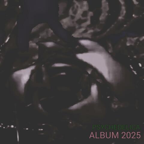 Album 2025