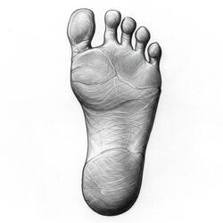 Step and run
