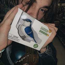 Prettiest girl in America