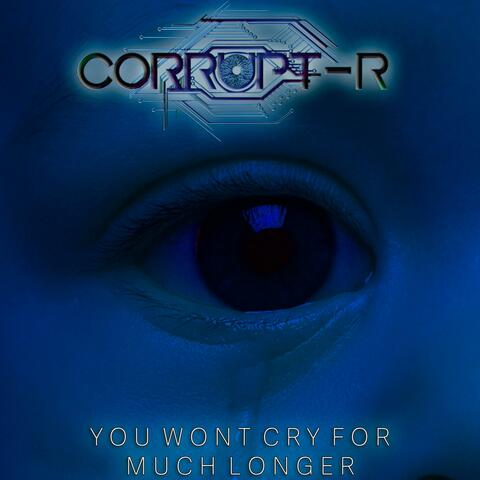 You Wont Cry For Much Longer