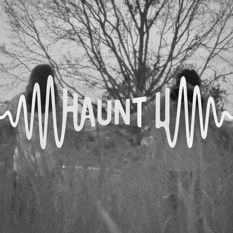 HAUNT U