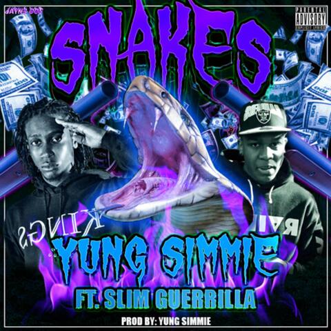 Snakes