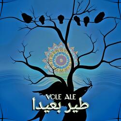 Vole Ale طير بعيدا (DJ4Kat Remix)