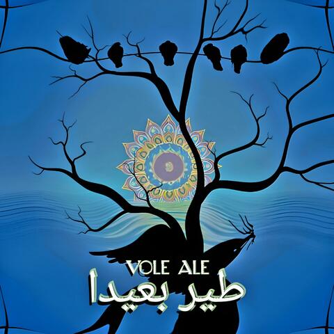 Vole Ale طير بعيدا (DJ4Kat Remix)