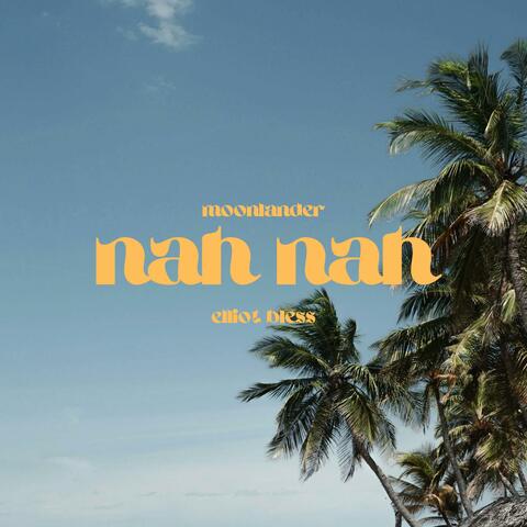 nah nah (feat. Elliot Bless)