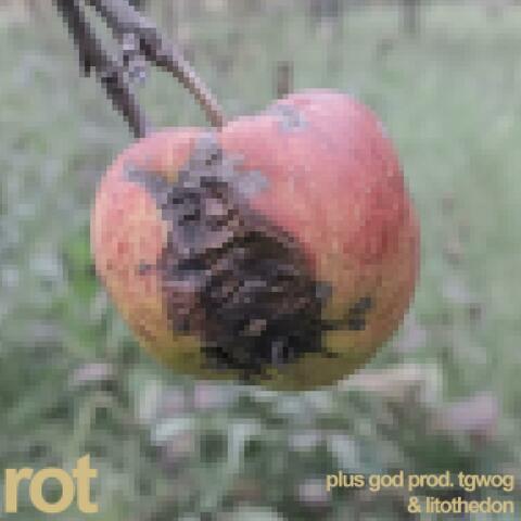 rot